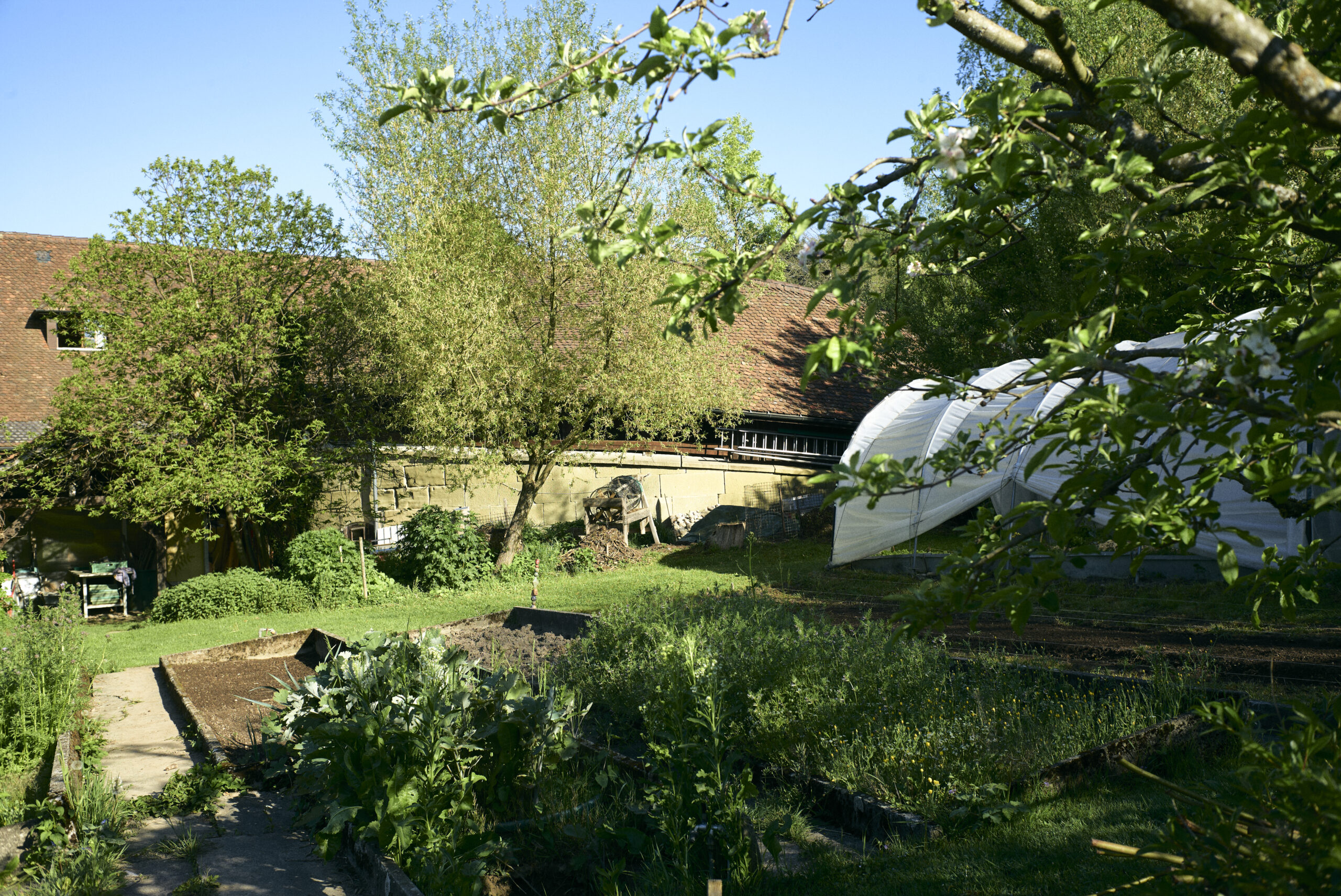 Gebäude der Steinerschule Ittigen. der Steinerschule Bern Ittigen Langnau