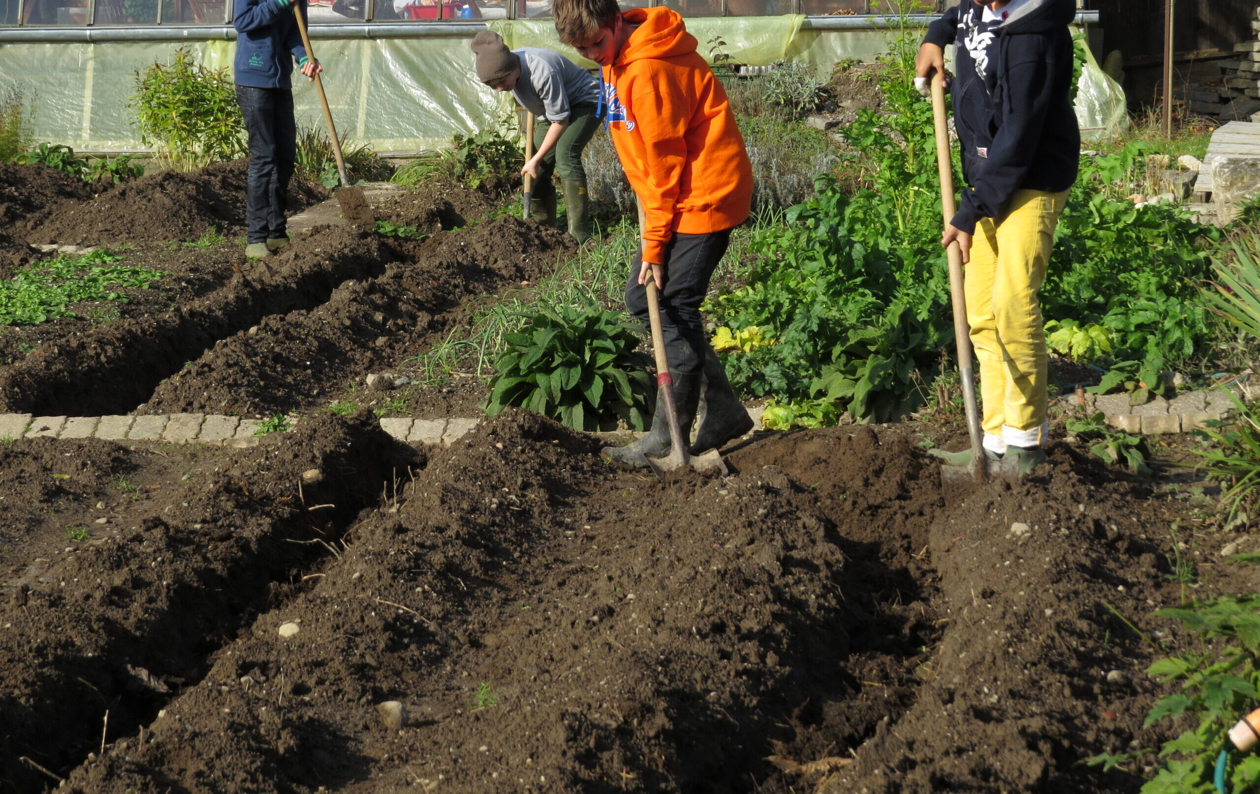 Gartenbau in der Steinerschule Bern Ittigen Langnau