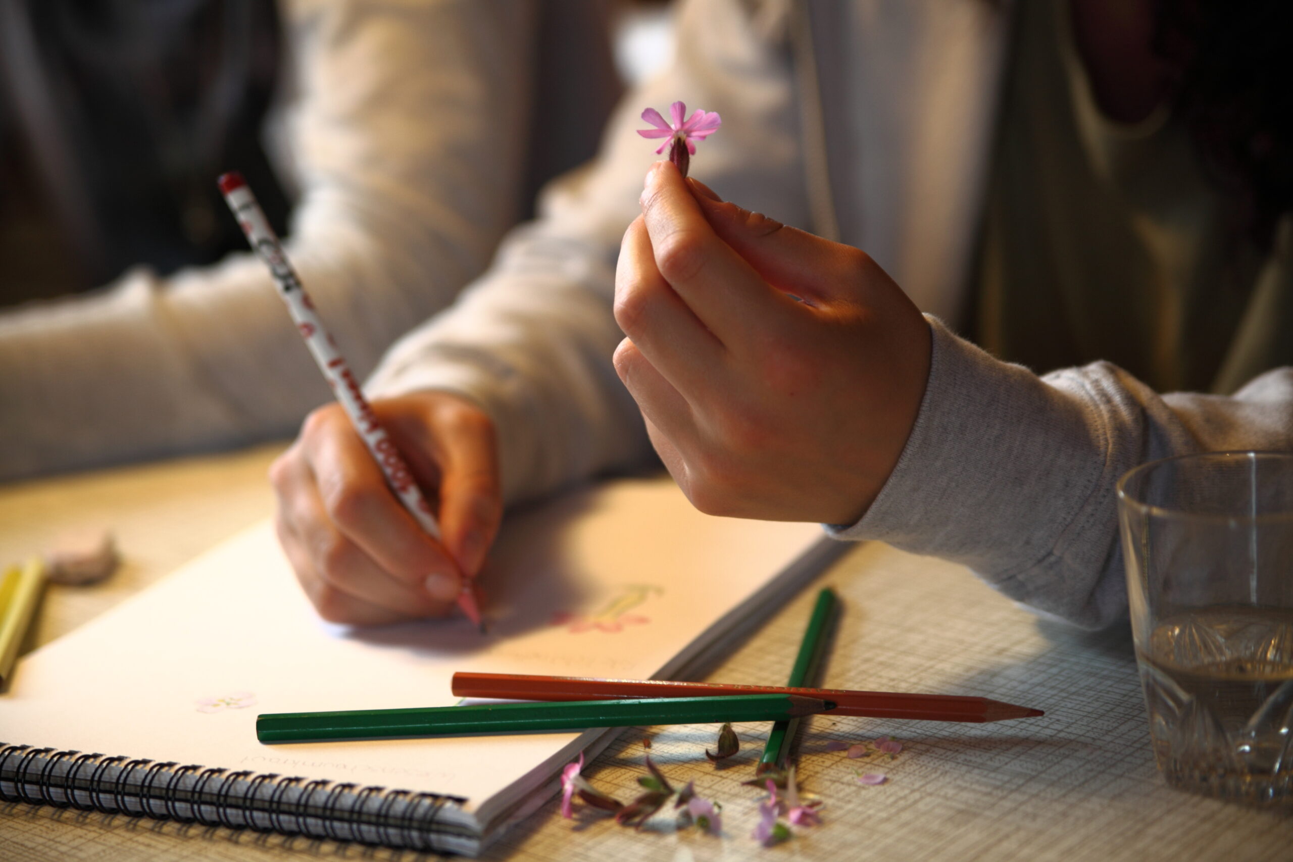 Botaniklager in der integrativen Mittelschule der Steinerschule Bern Ittigen Langnau