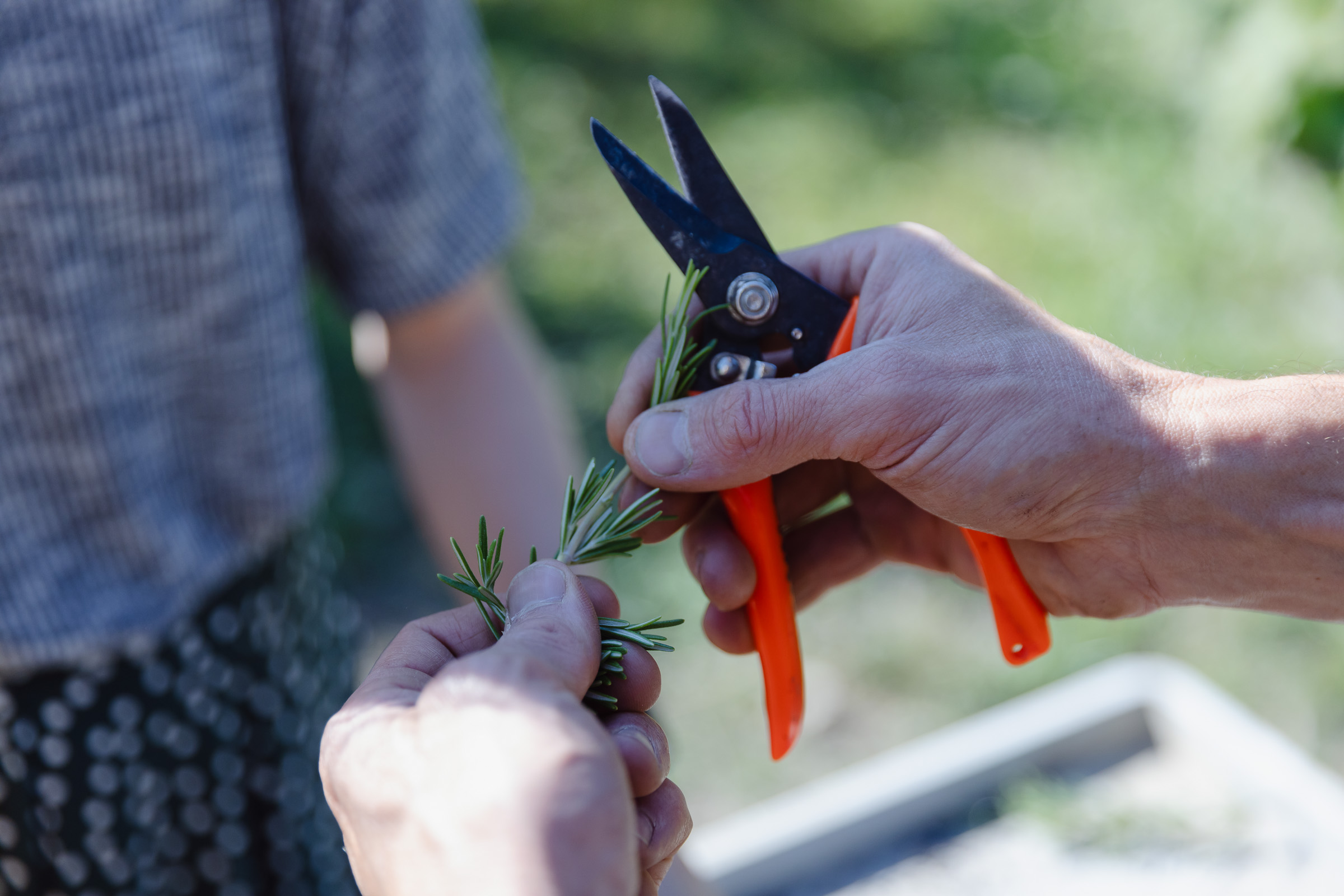 Gartenbau an der Steinerschule Bern Ittigen Langnau, Privatschule im Kanton Bern