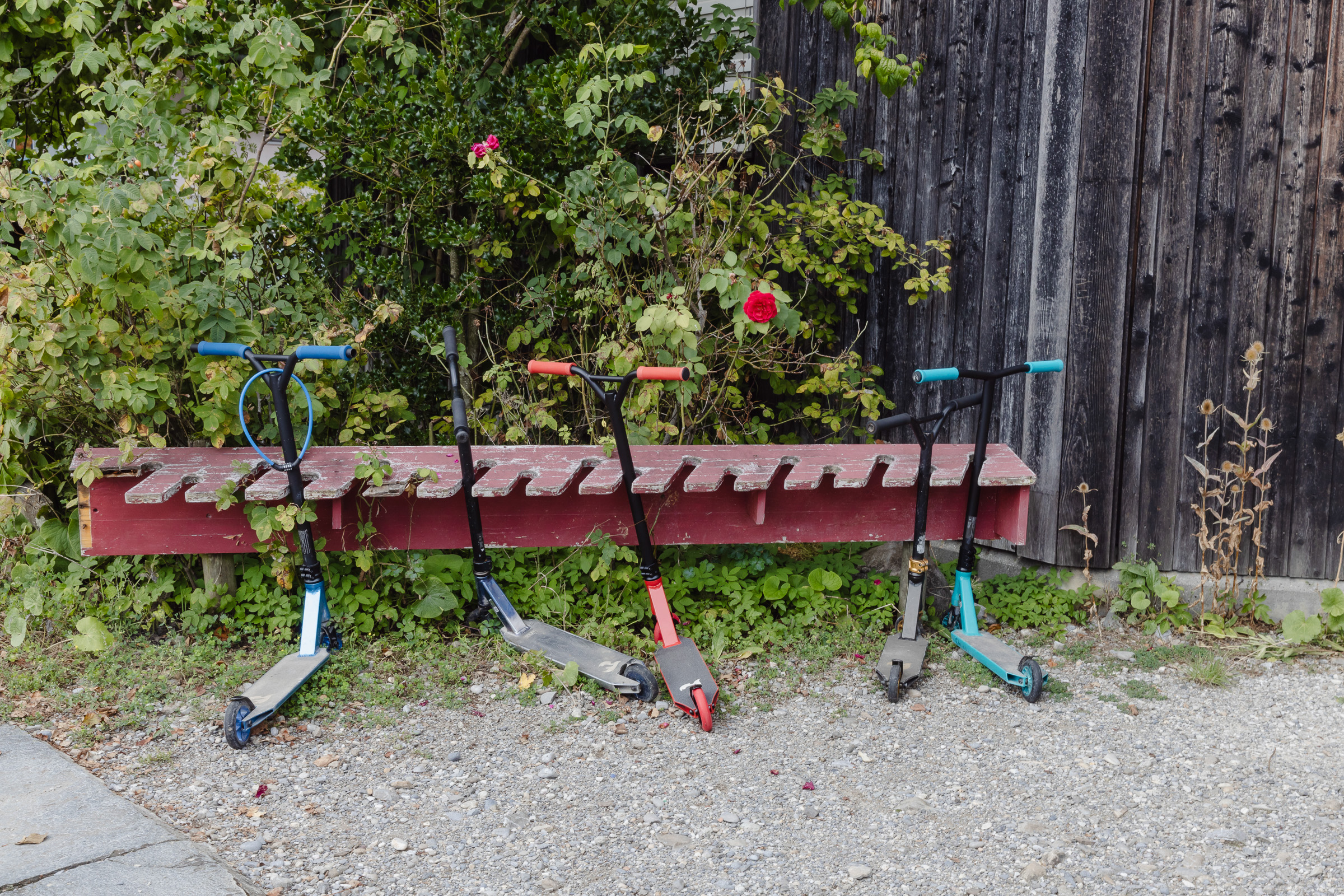 Standort Bern der Steinerschule Bern Ittigen Langnau, Privatschule im Kanton Bern