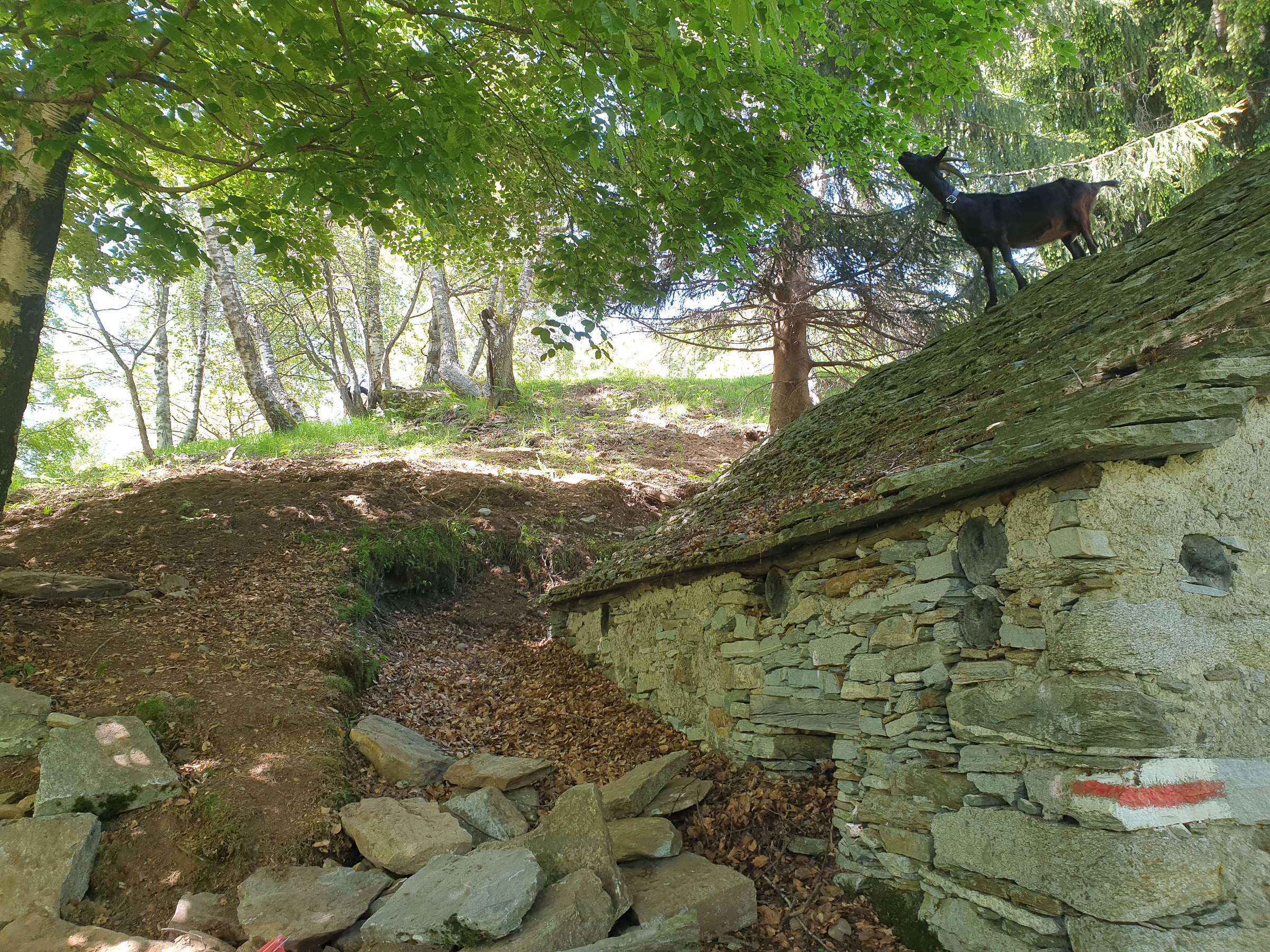 Trockenmauerlager der 9. Klasse Bern, Steinerschule Bern Ittigen Langnau - Privatschule