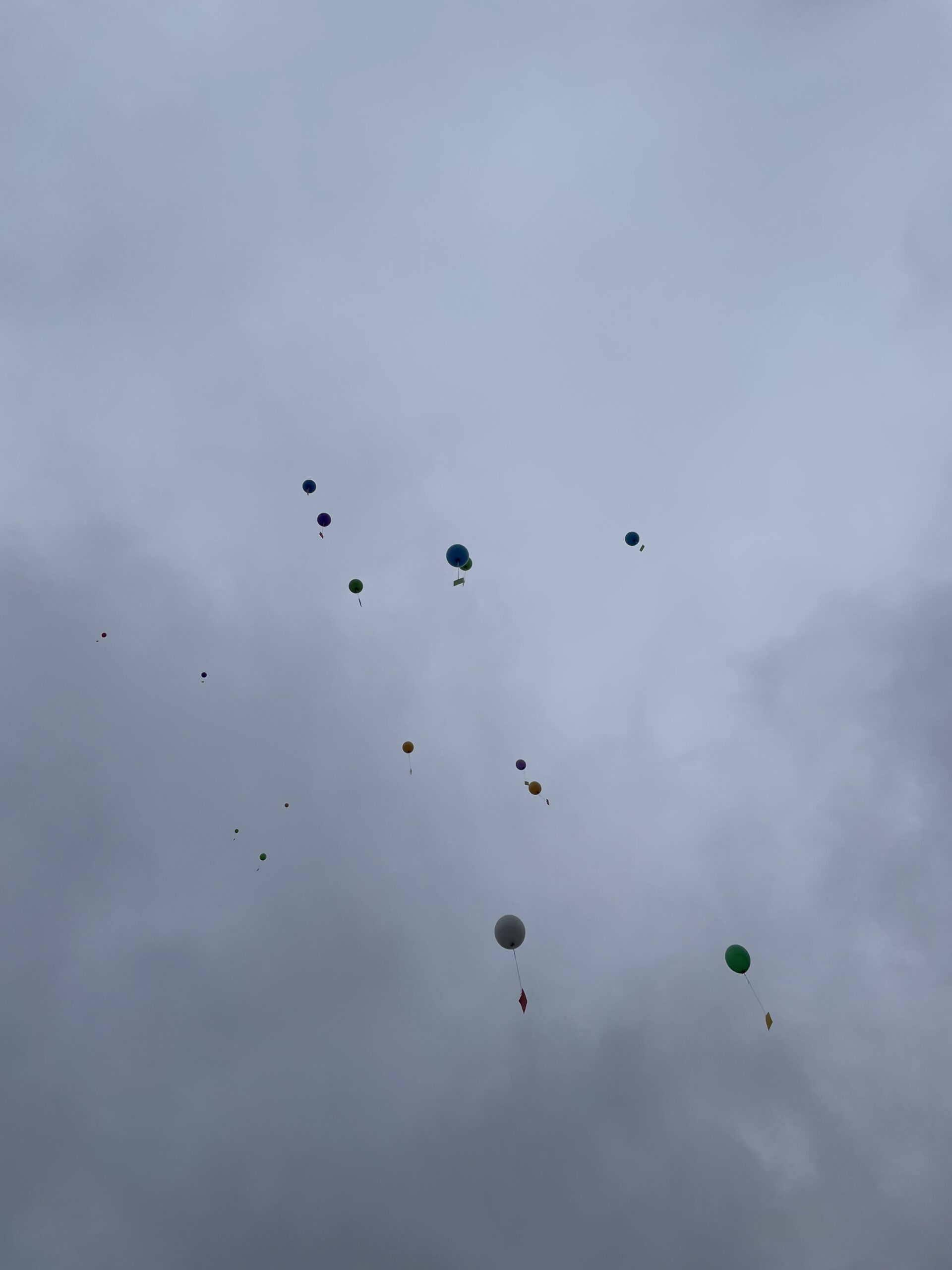 Friedensprojekt_Langnau_03